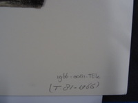 1966-0081-TEK b.jpg; 1966-0081-TEK; ;